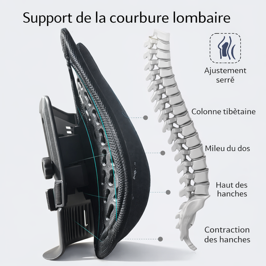 Support lombaire ergonomique réglable