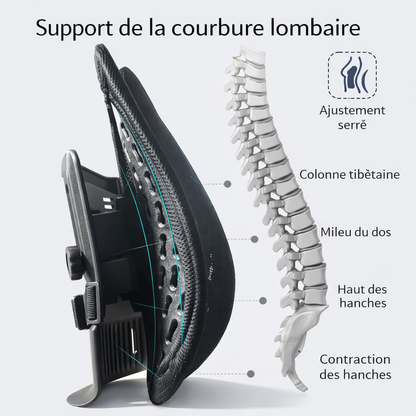 Support lombaire ergonomique réglable